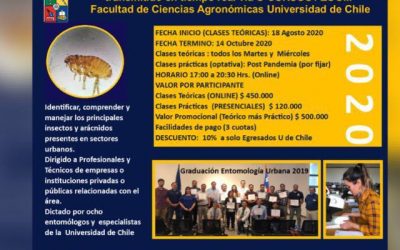 Finalizó curso de «Entomología Urbana» dictado por la Facultad de Agronomía de la Universidad de Chile