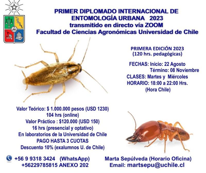 Finalizó el Primer Diplomado internacional de Entomología urbana 2023 y el Quinto curso de Entomología organizado por la Facultad de Ciencias Agronómicas de  la Universidad de Chile.